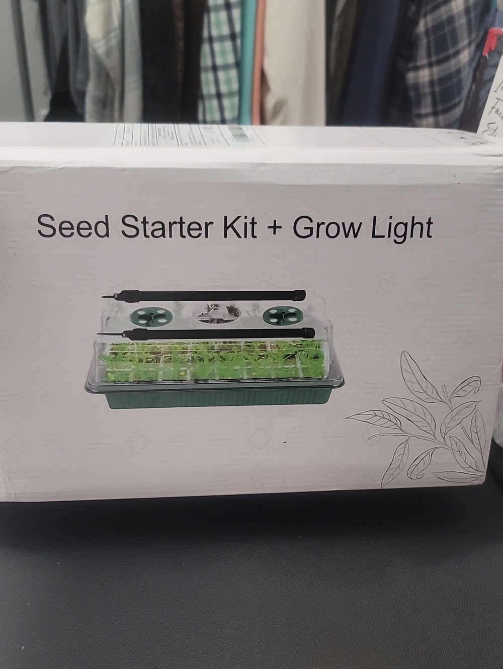Seed Starter Kit with Grow Light - Green